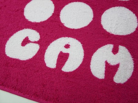 CAMP CHAMP 2012様 オリジナルタオル製作実績の画像03