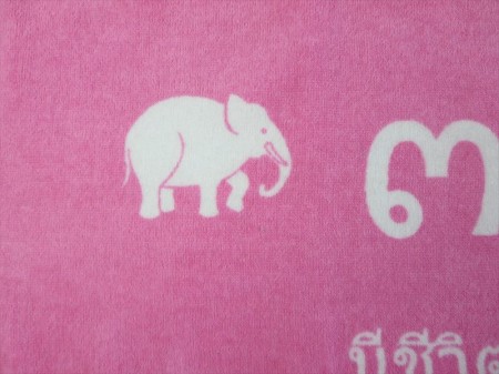 ３１０４　（タイ語）　　（薄いピンク色）様 オリジナルタオル製作実績の画像05