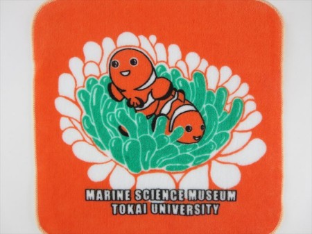 MARINE SCIENCE MUSEUM TOKAI UNIVERSITY様 オリジナルタオル製作実績の画像03