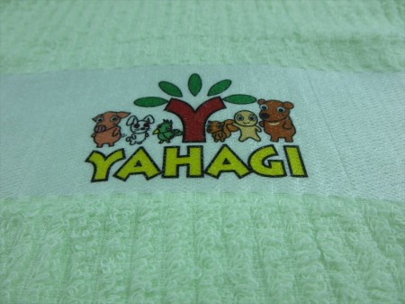 YAHAGI (薄グリーン使用)様 オリジナルタオル製作実績の画像05