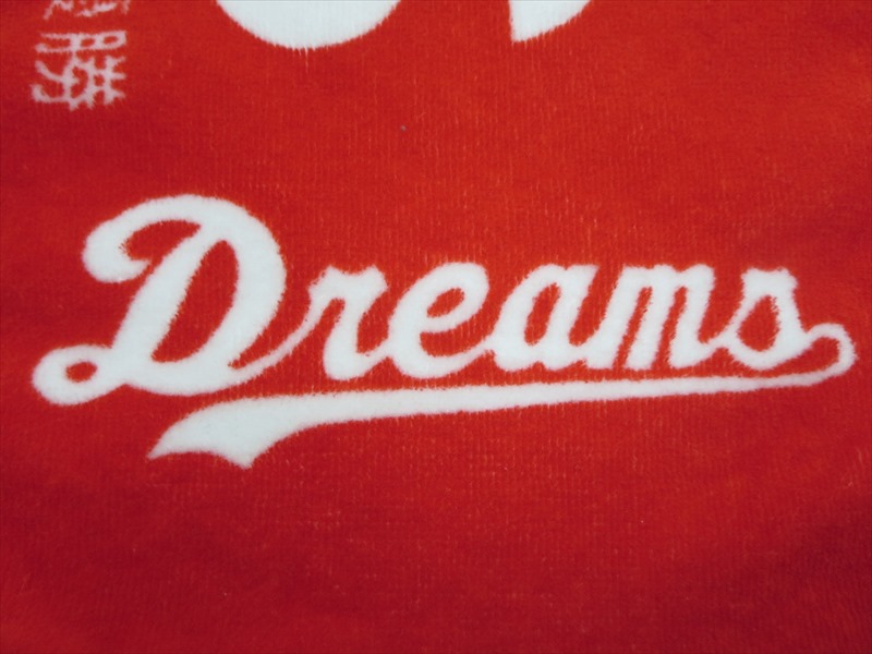 HADANO DREAMS 21th様 オリジナルタオル製作実績の画像07